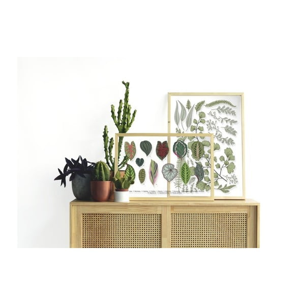 Картина с рамка от борова дървесина Leafes Collection, 50 x 70 cm Leaves Collection - Surdic-image-1