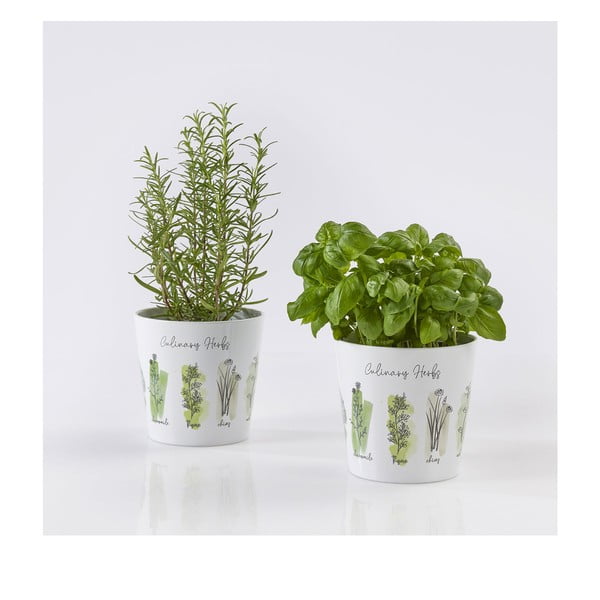 Керамични саксии в комплект от 2 за билки ø 14 cm Dalllas Culinary - Big pots-image-1