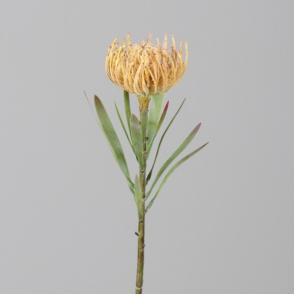 Изкуствено цвете (височина 43 cm) Protea – Ego Dekor