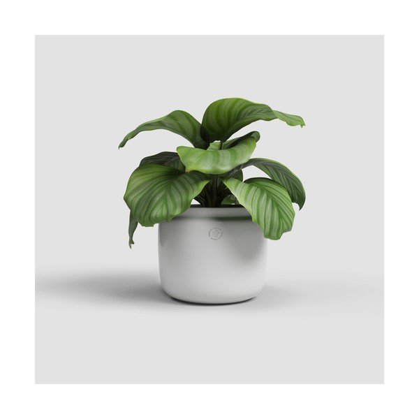 Керамична ръчно изработена саксия за цветя ø 26 cm Astrea – Artevasi-image-1