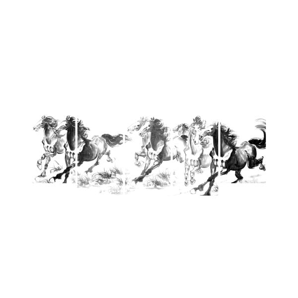 Vícedílný obraz Black&White no. 30, 100x50 cm