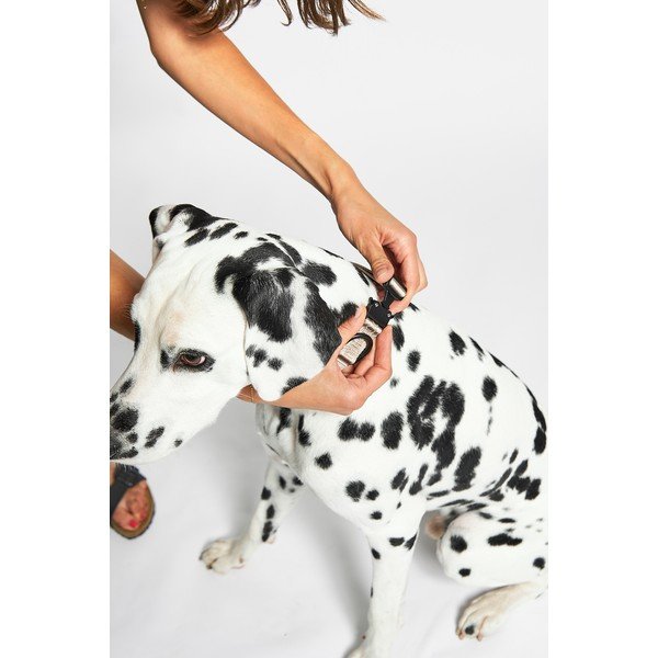 Бежов нашийник S/M дължина 32 cm Modena Greige S/SM – MiaCara-image-2