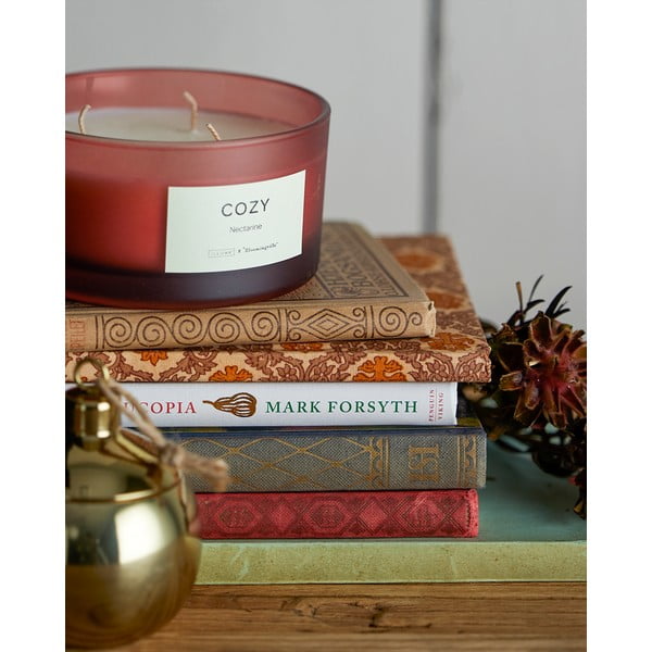 Ароматна свещ с време на горене 25 h Cozy Nectarine – ILLUME x Bloomingville-image-1