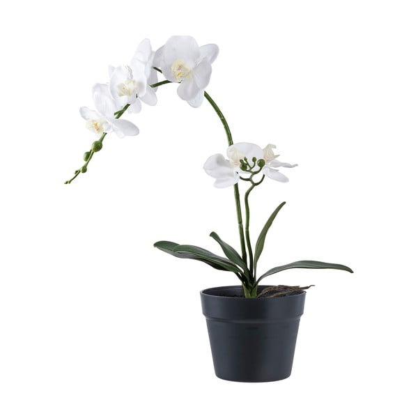 Изкуствено цвете (височина 47 cm) Orchid – House Nordic