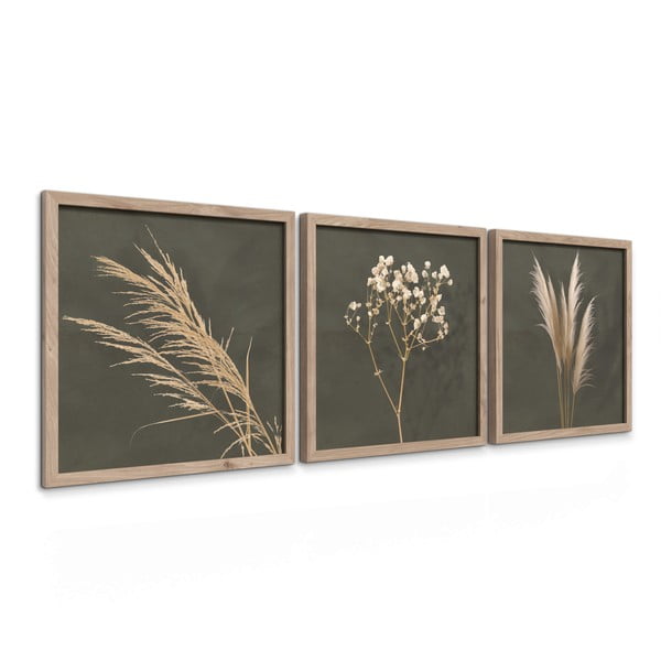 Картини в комплект 3 бр. 30x30 cm Pampas – Styler-image-4