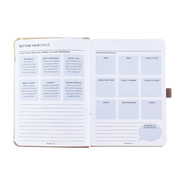 Diář pro rok 2019 s lepíky Busy B Goals-image-1