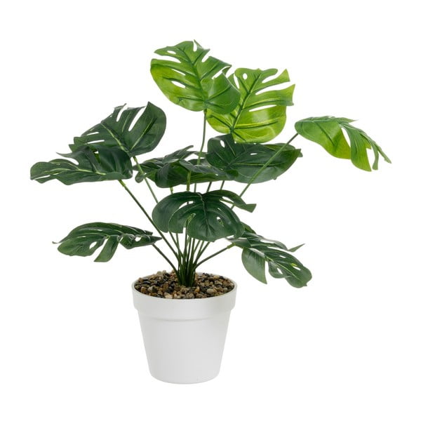 Изкуствено растение (височина 38 cm) – Casa Selección