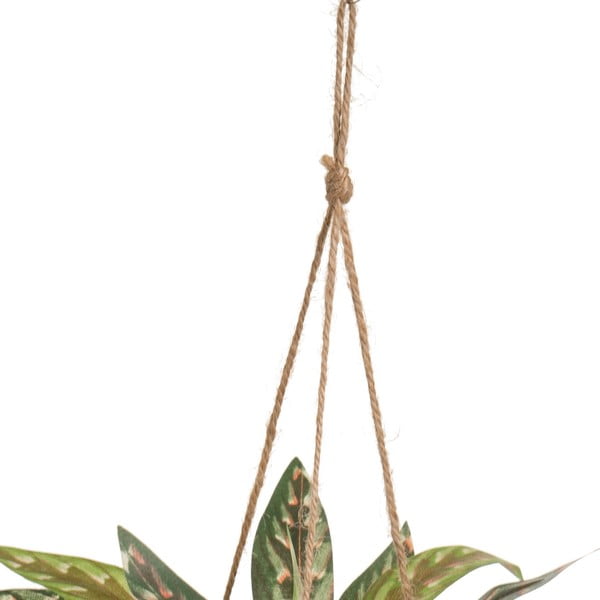 Изкуствено растение (височина 25 cm) – Casa Selección-image-2