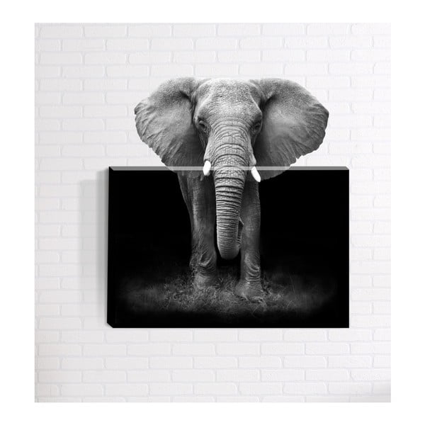 3D картина за стена Африка, 40 x 60 cm - Mosticx