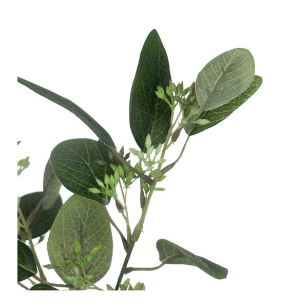 Изкуствен евкалипт (височина 59 cm) – Ixia-image-1