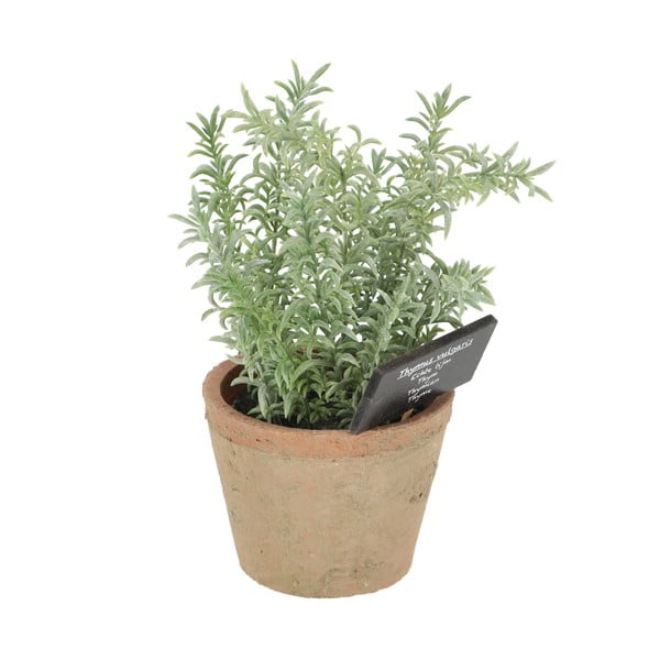 Изкуствено растение (височина 21,5 cm) Thyme – Esschert Design-image-3