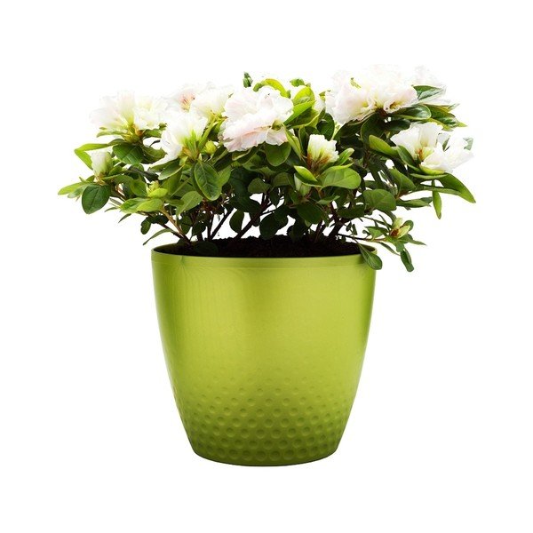 Зелена саксия Perla, ø 21,5 cm - Plastia-image-1