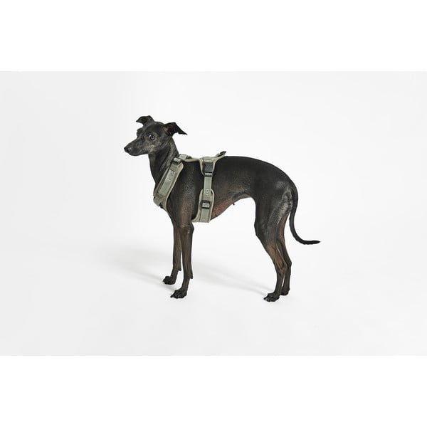 Зелена каишка L дължина 42 cm Modena Grolive L – MiaCara-image-1