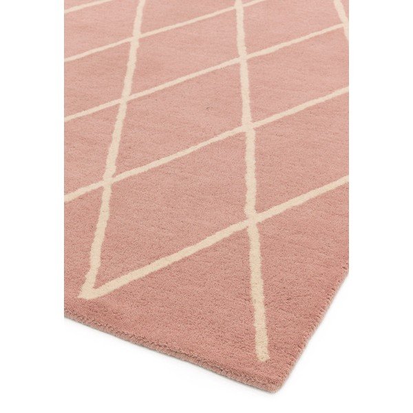 Розов ръчно изработен вълнен килим 120x170 cm Albany – Asiatic Carpets-image-4