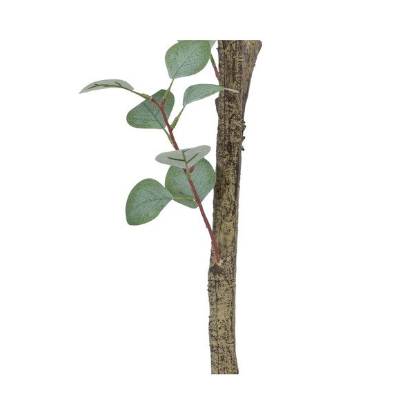 Изкуствен евкалипт (височина 180 cm) Eucalyptus – Ixia-image-4