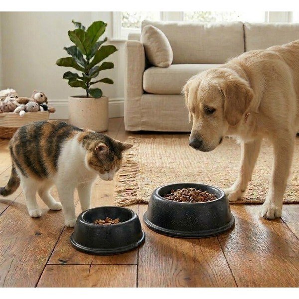 Каменна купа за домашни любимци ø 21,3 cm - Casafina-image-2