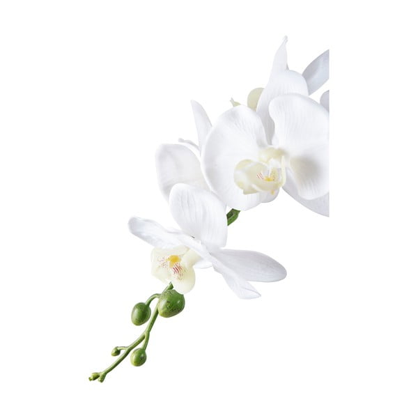 Изкуствено цвете (височина 47 cm) Orchid – House Nordic-image-2