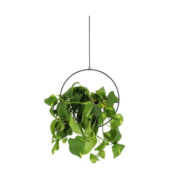 Черен висящ държач за саксия Planter - Esschert Design-image-1