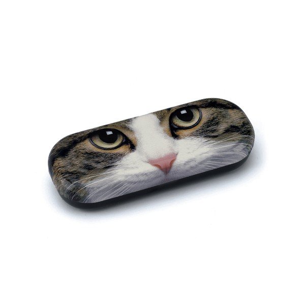 Obal na brýle Tabby Cat