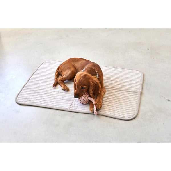 Бежово памучно одеяло за куче 90x120 cm Onda Greige L – MiaCara-image-2