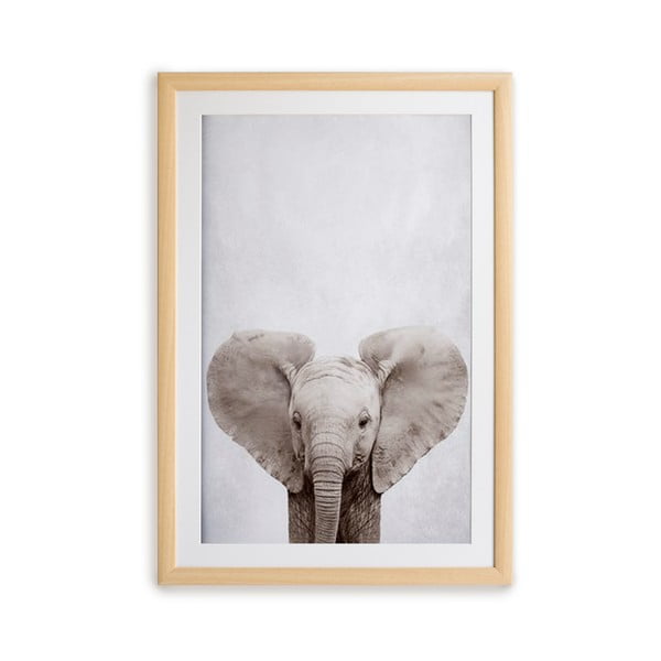 Картина за стена в рамка Слон, 30 x 40 cm - Surdic