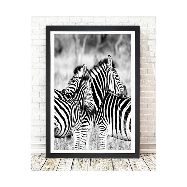Живопис Зебри, 24 x 29 cm Brighton Zebras - Tablo Center-image-1