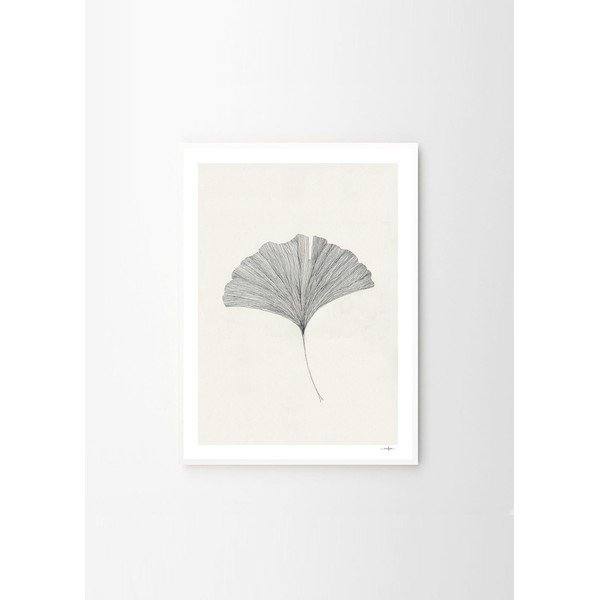 Постер 50x70 cm Ginkgo Leaf – Ana Frois – The Poster Club-image-4