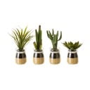 Изкуствени растения в комплект от 4 броя (височина 18 см) Cactus - Casa Selección