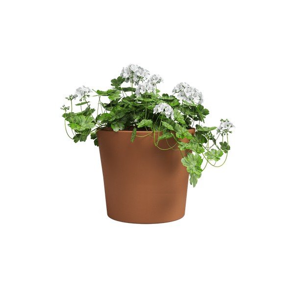 Теракотена саксия за цветя ø 39 cm Manuel – Artevasi-image-2