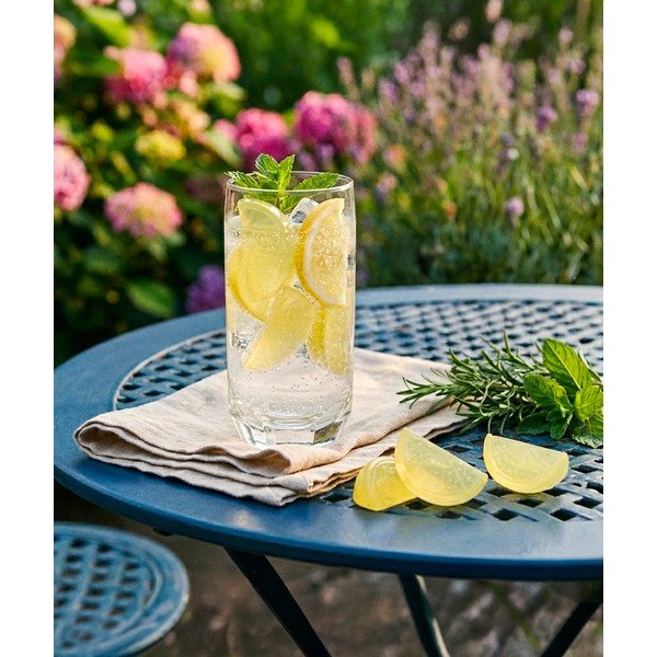 Пластмасови кубчета за охлаждане в комплект 20 бр. Lemon – Orion-image-1