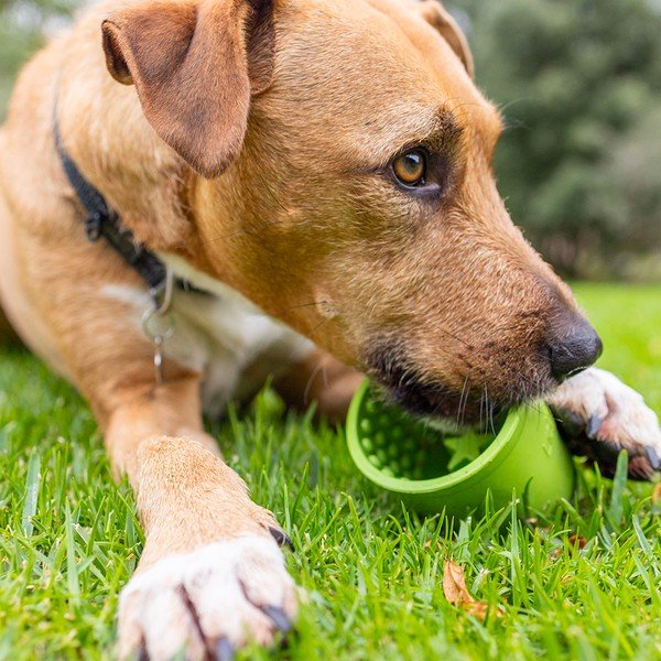 Купичка за облизване Yoggie Pot Green – LickiMat-image-4