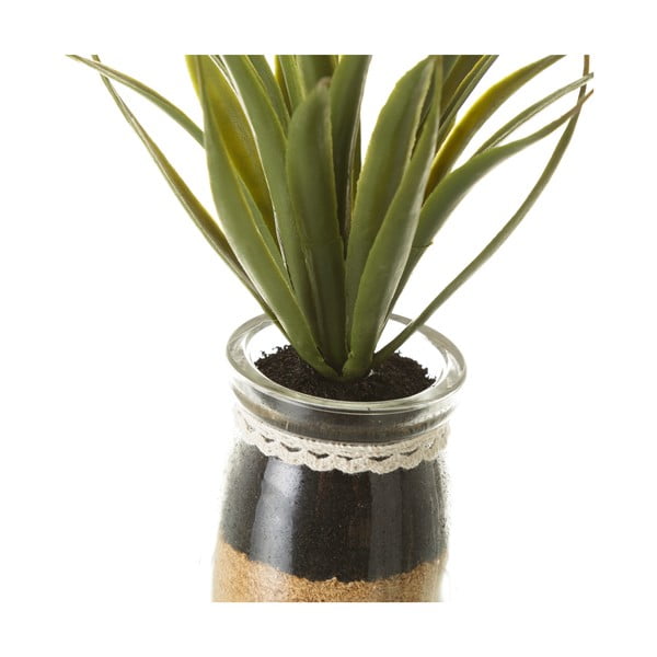 Изкуствени растения в комплект от 4 броя (височина 18 см) Cactus - Casa Selección-image-2