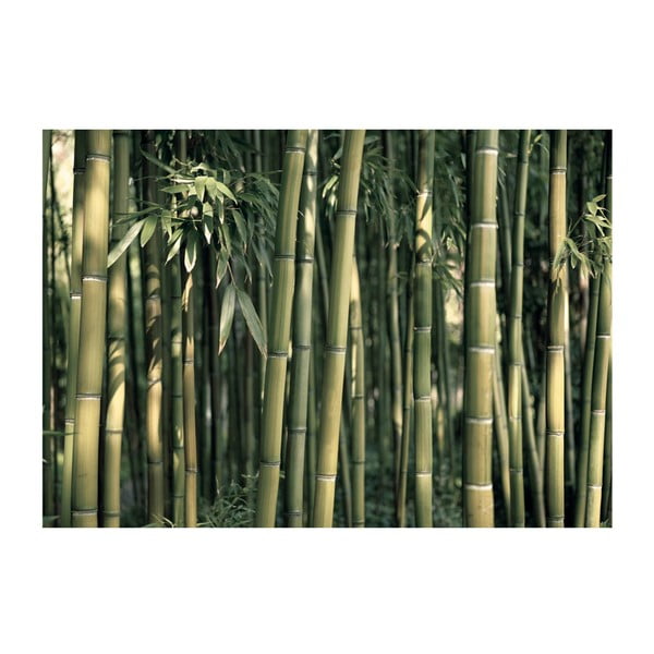 Широкоформатен тапет , 200 x 140 cm Bamboo Exotic - Artgeist