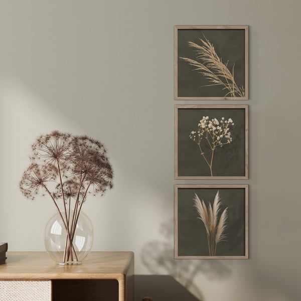 Картини в комплект 3 бр. 30x30 cm Pampas – Styler-image-1