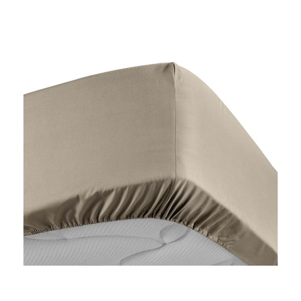 Светлокафяв еластичен чаршаф от памук перкал 160x200 cm Percaline – douceur d'intérieur-image-3