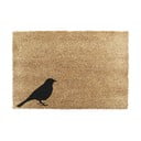 Изтривалка от кокосови влакна 40x60 cm Bird – Artsy Doormats
