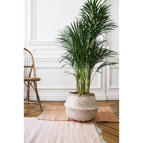 Кошница за съхранение от светла морска трева , ⌀ 35 cm Zic Zac - Compactor-image-2