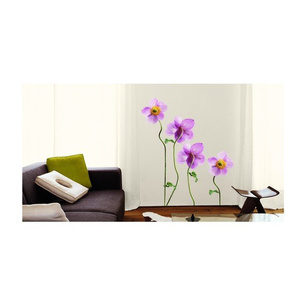 Anemones-image-2