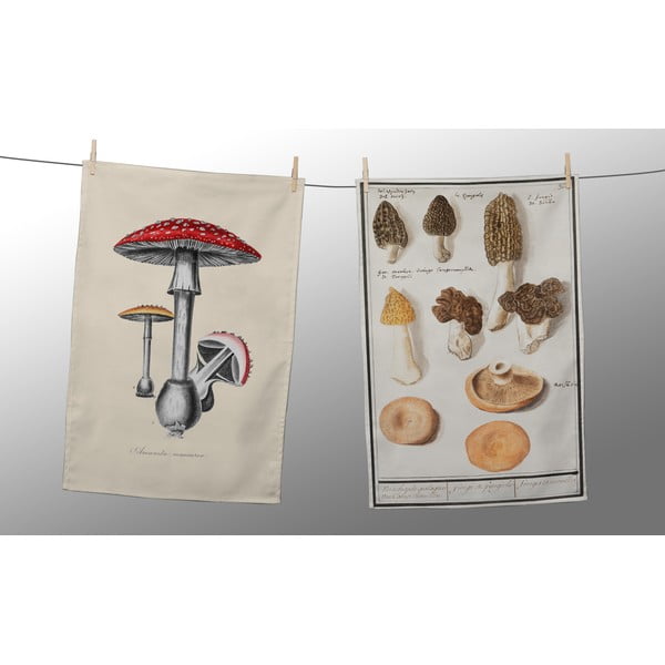 Комплект от 2 салфетки , 47 x 65 cm Botanical Fungi - Tierra Bella