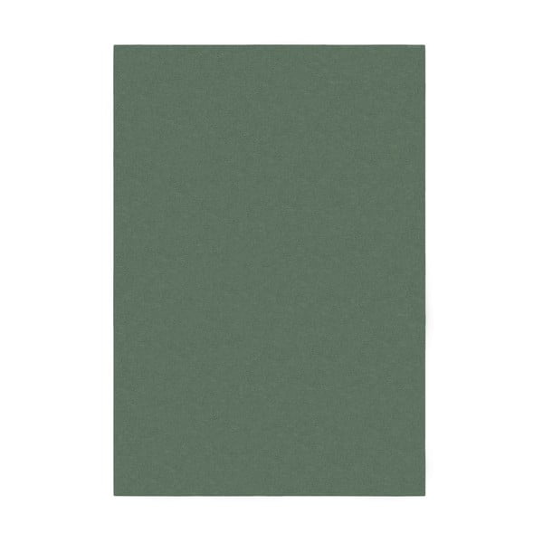 Зелен килим 200x290 cm - Flair Rugs