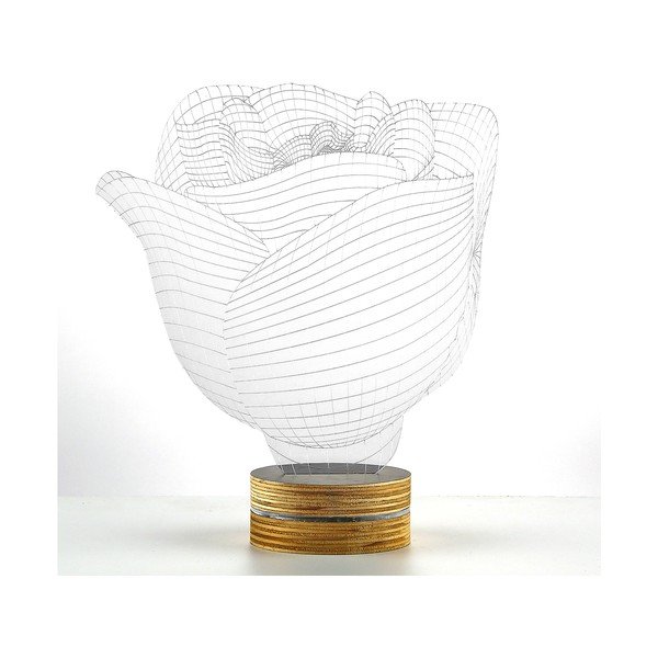 3D stolní lampa Rose-image-1