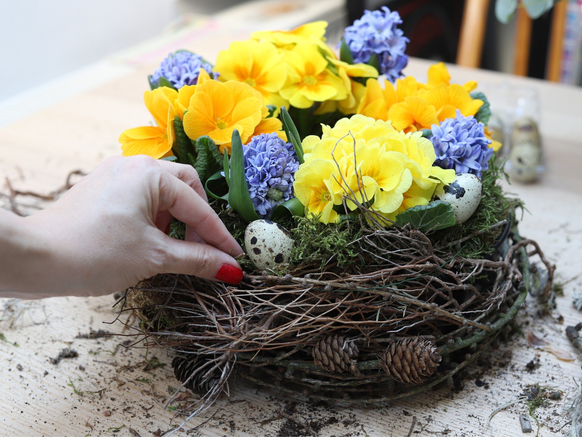 Лалета, теменужки и други пролетни луковици, засадени във форма за кекс.