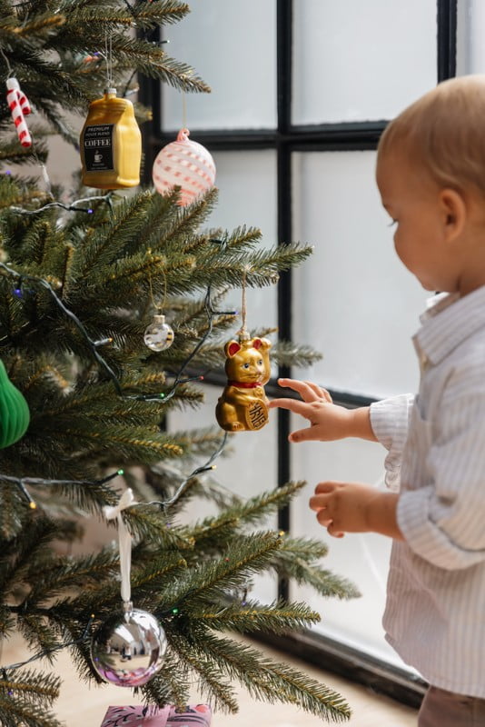 Вдъхновение: Коледа