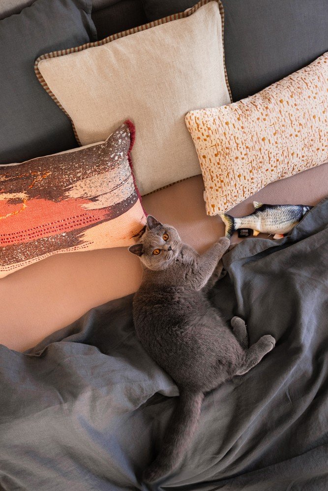 Вдъхновение: Bonami посещения