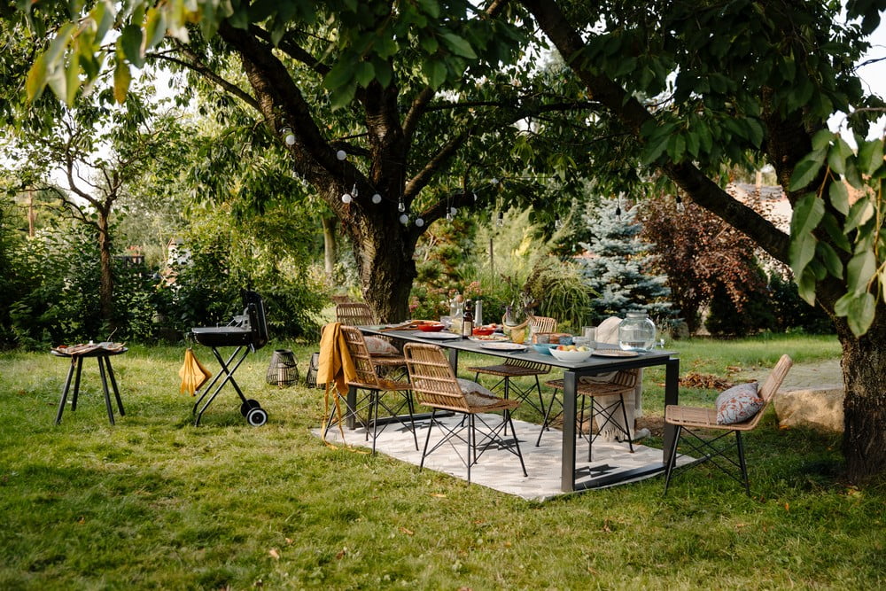 Вдъхновение: Лято, Градина