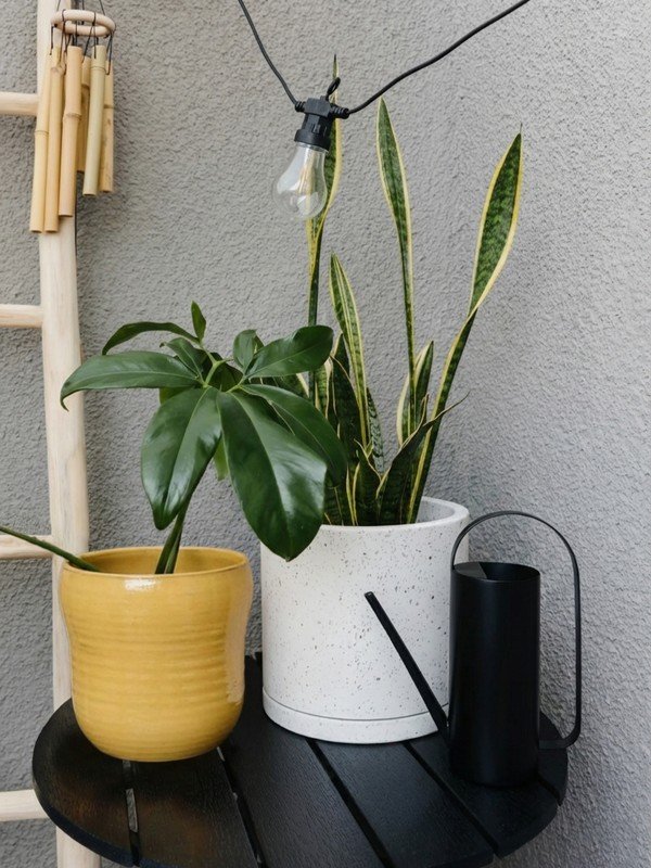 Вдъхновение: Балкон и тераса, Градина