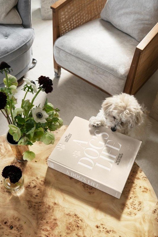 Вдъхновение: Премиум марки, Домашни любимци