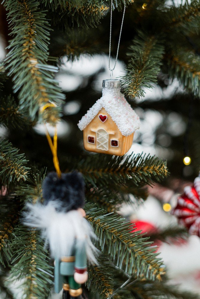 Вдъхновение: Коледа