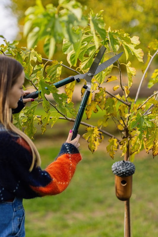 Вдъхновение: Градина