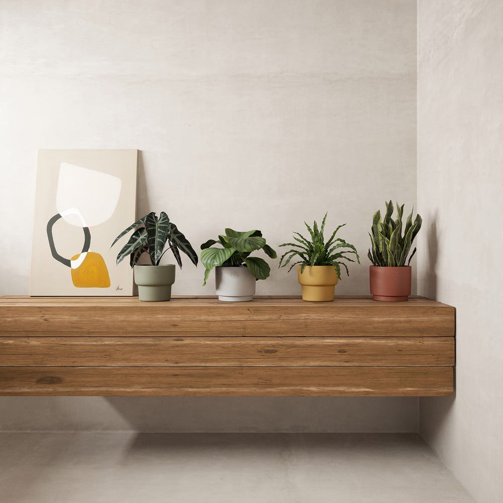 Вдъхновение: Декорация